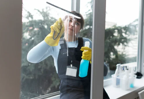 Nettoyage de vitres intérieures et extérieures à Saint-Flovier